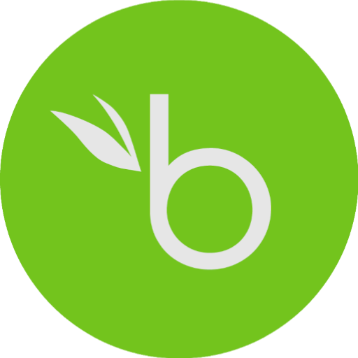 BambooHR.png